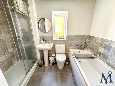 Picture 17